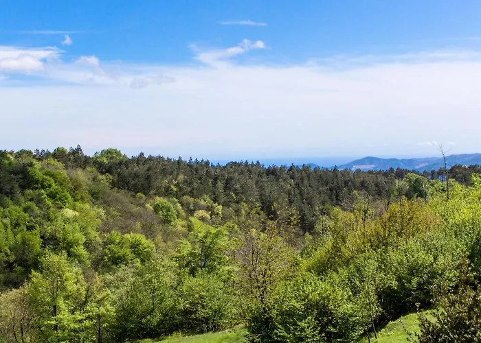 アパート Faggio - Sbo101 By Interhome サヴォーナ